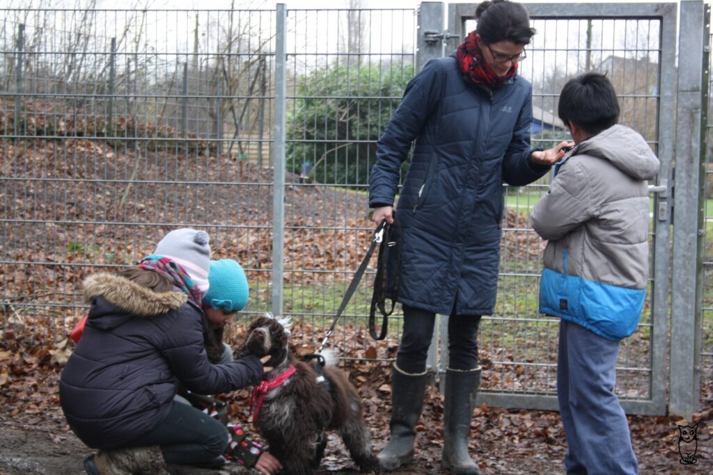 Der Reihe nach dürfen zwei Kinder aus der Klasse mit in die Hundepause kommen.