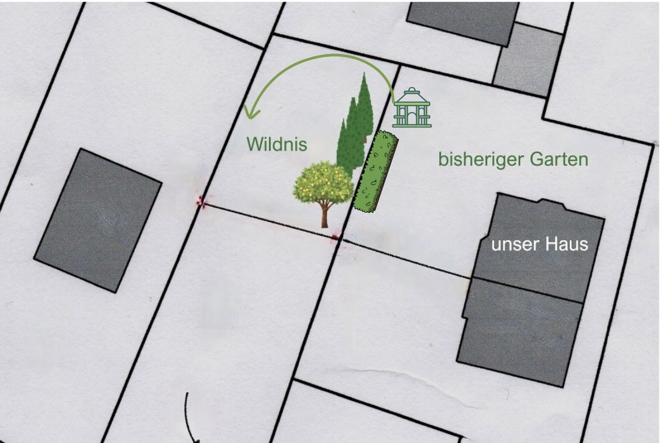 Fotos für den Blog - 1