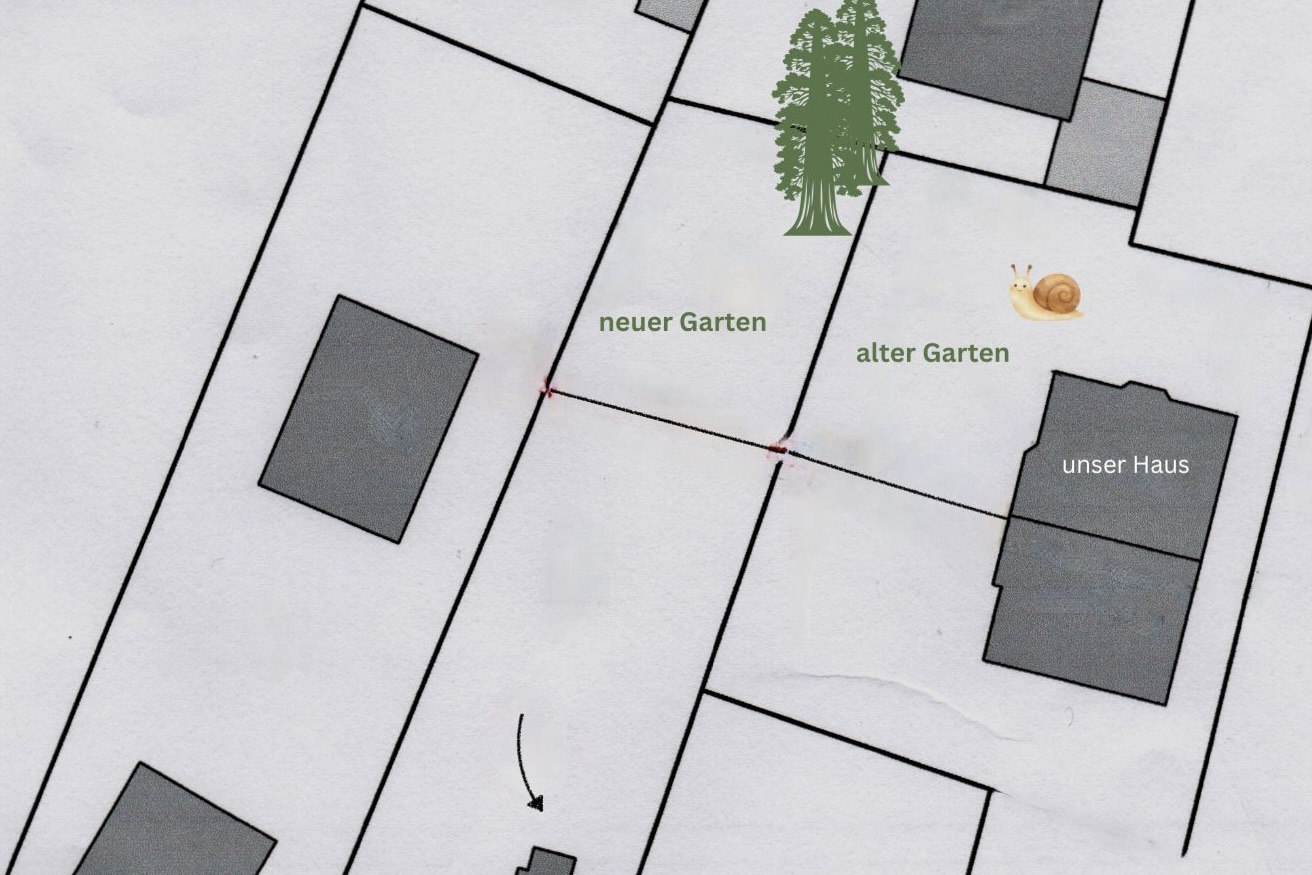 Fotos für den Blog - 1