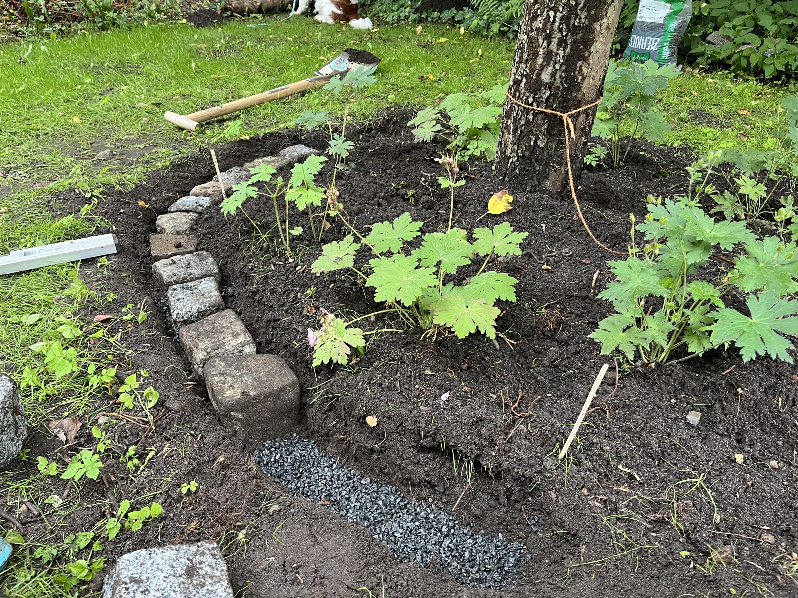 Rasenkante unfertig