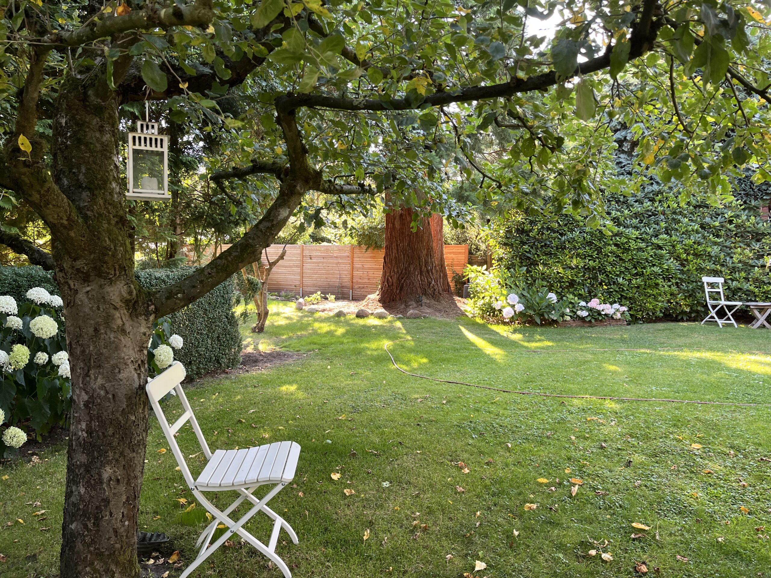 Mammuts vom Apfelbaum aus