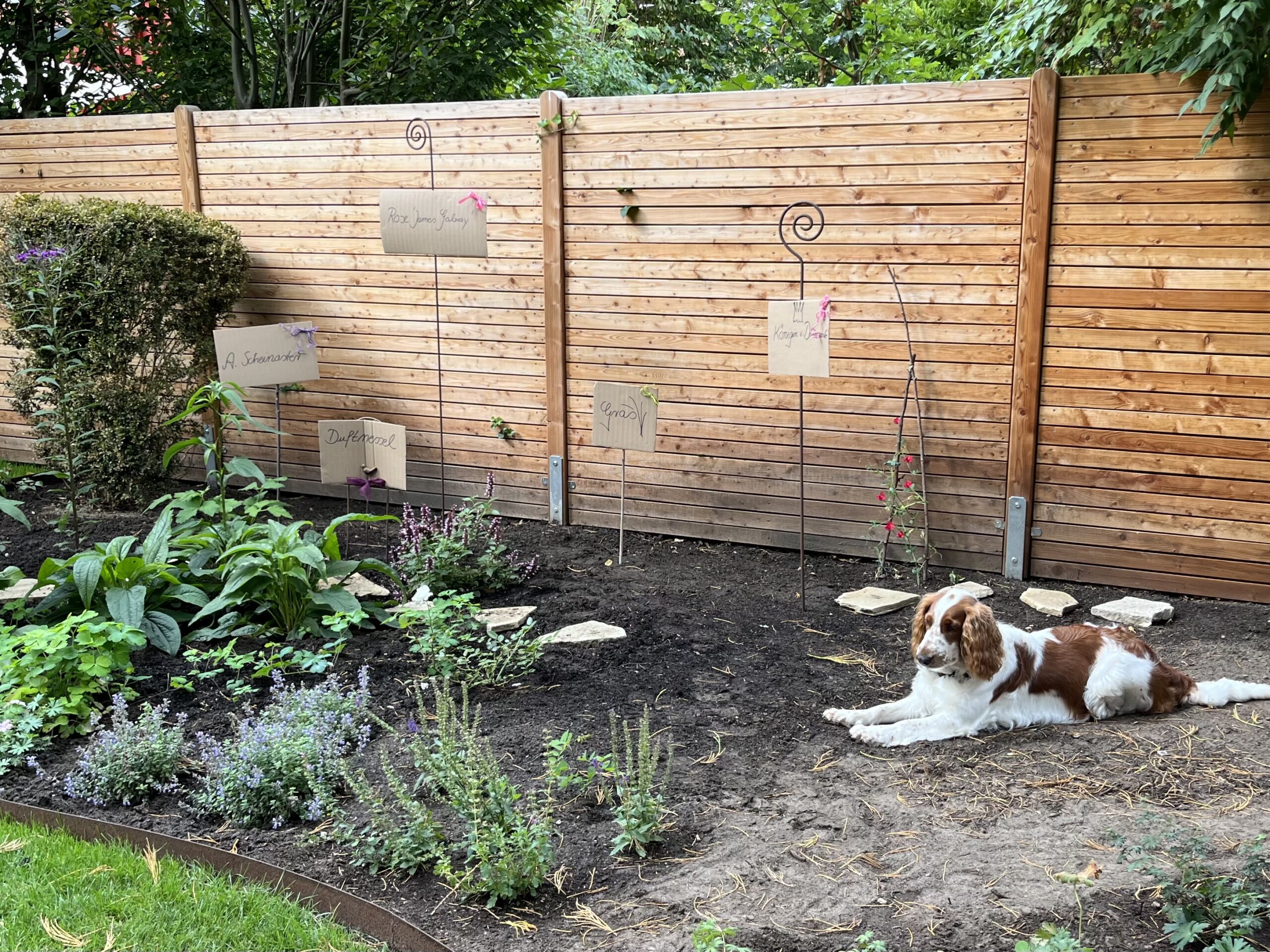 Beet-Demo mit Polly